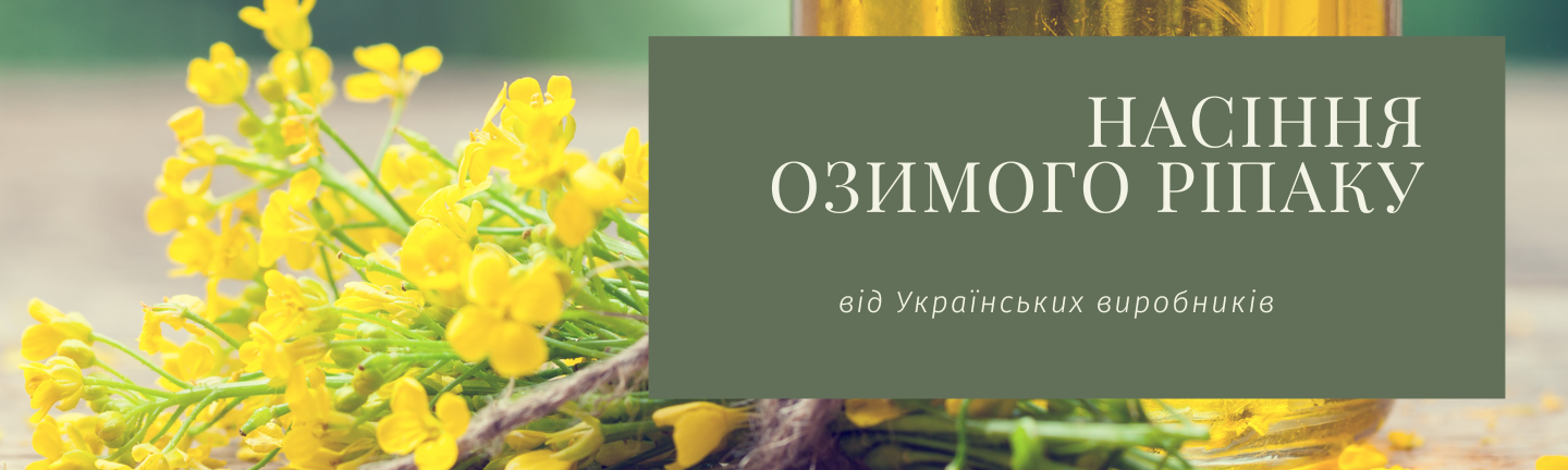 Купити насіння озимого ріпаку Української селекції