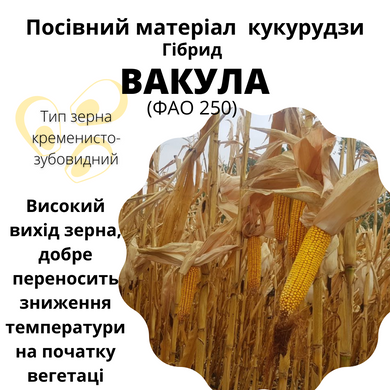 ВАКУЛА (ФАО 250)