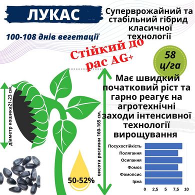 Насіння соняшника гібрид – ЛУКАС OR 7+ ВИСОКОВРОЖАЙНИЙ, ПОСУХОСТІЙКИЙ, 100-108 дн.