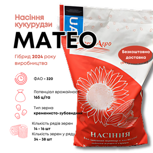 МАТЕО (ФАО 320) - Высокоурожайный гибрид кукурузы для различных условий выращивания.