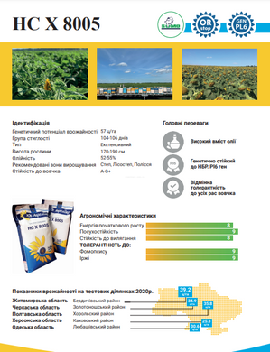 Насіння соняшника НС Х 8005 (Експрес, ЕкспресСан, SUMO) 50 гр/га