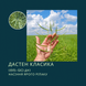 Насіння ярого Ріпаку ДАСТЕН - Середньоранній (100 дн.)( КЛАСИКА)