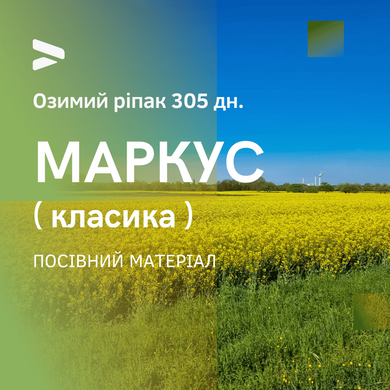 МАРКУС (КЛАССИКА) 295-300 дн. Семена озимого рапса от Украинской компании АРТ-АГРО