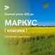 МАРКУС (КЛАСИКА) 295-300 дн.Насіння озимого ріпаку від Української компанії АРТ-АГРО