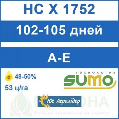 Семена подсолнечника НС X 1752 (устойчив к гранстару)