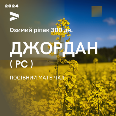 ДЖОРДАН РС (300-305 ДН.) Семена озимого рапса гибрид Украинской селекции