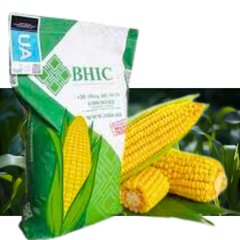 Семена кукурузы гибрид АМАРОК, ФАО 320